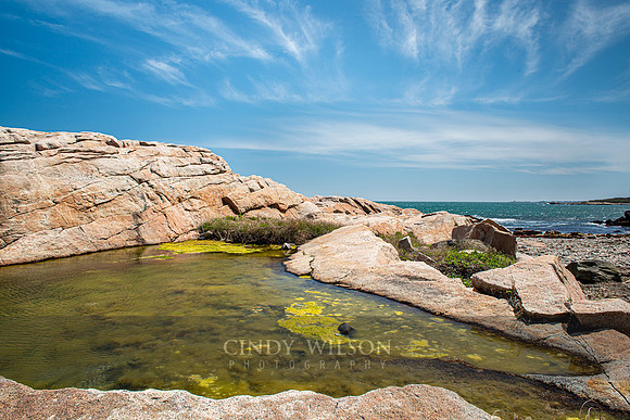 Tidal Pool, Black Point