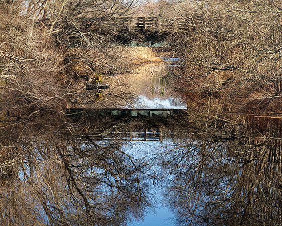 Bridge Reflection