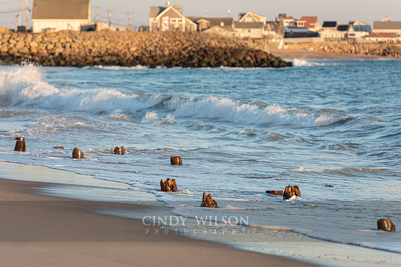 Matunuck Pilings