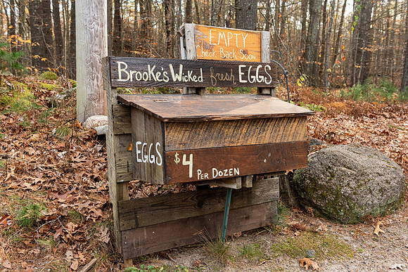 Egg Stand