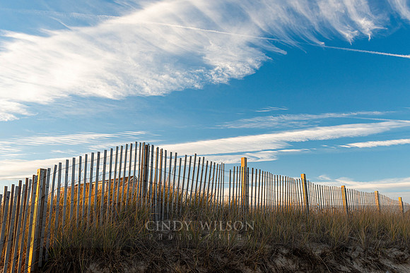 Beach Fence with Cloud