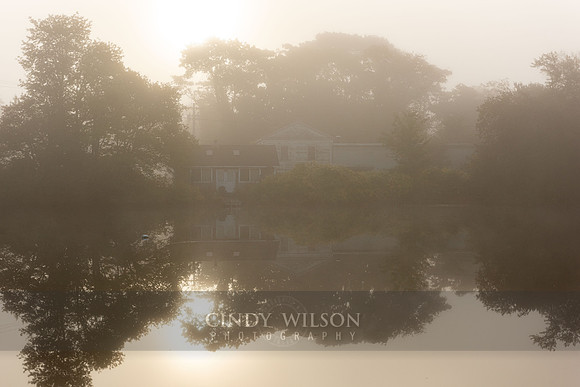 Bellville Mist