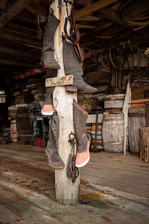 Boots