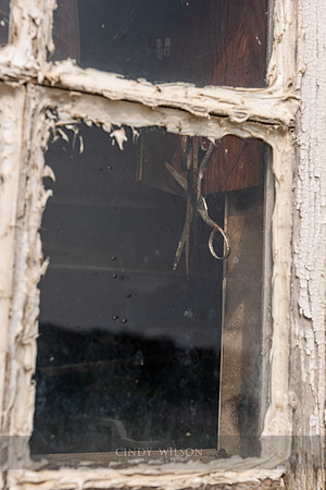 Scissors in a Window