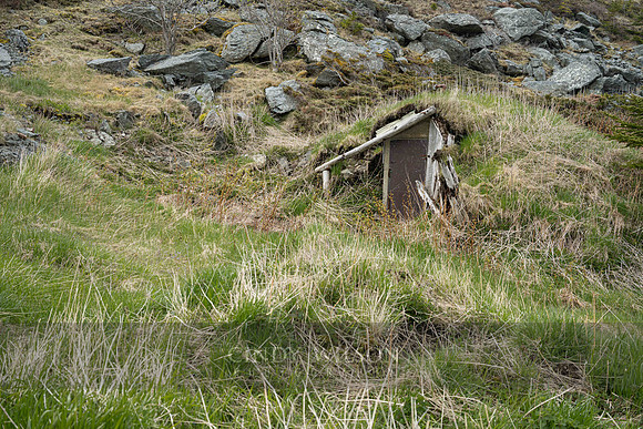 Back Harbor Root Cellar, Twillingate