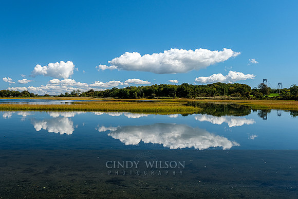 High Tide Reflections at Zeke's