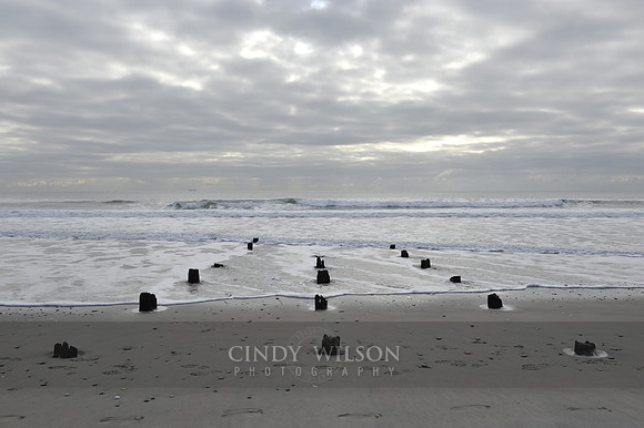 Ancient Pilings at Low Tide, Narragansett Pier