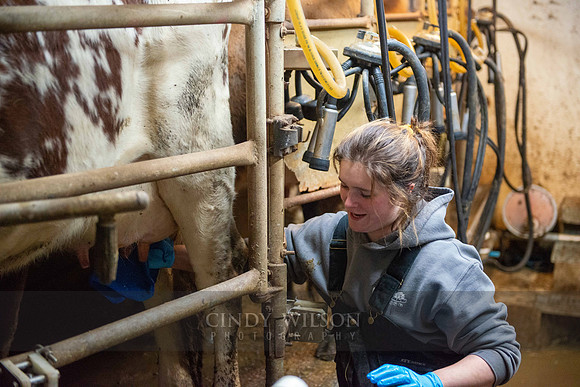 Milking Room, Emma's Acres