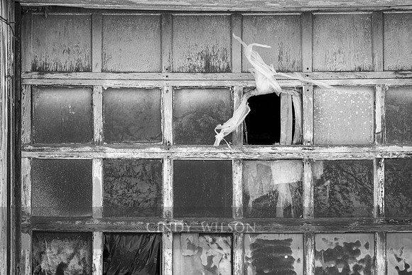 Tattered Window