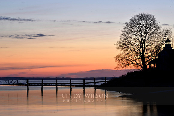 Sunrise Silhouette, Poplar Point