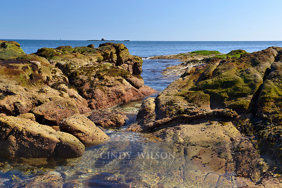 Tidal Pool, Camp Varnum