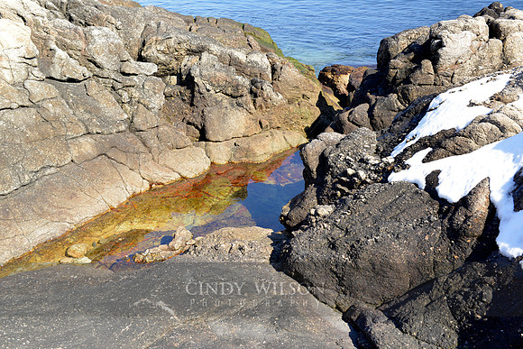 Tidal Pool, Camp Varnum