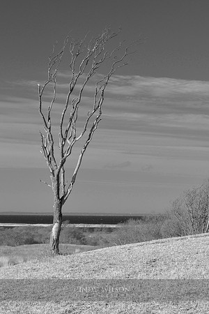 Standing Alone, Block Island