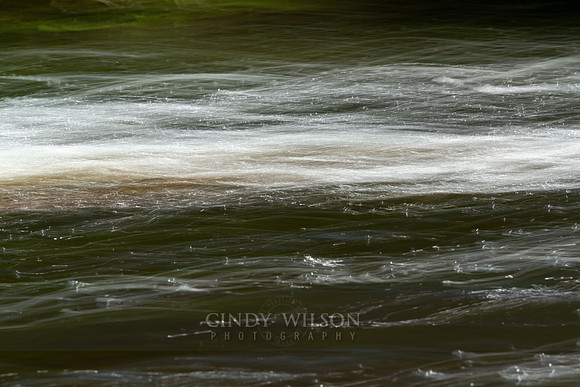 Dancing Water