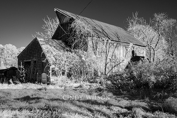 Dairy Barn, IR