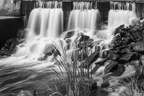 Dam, Ryan Park
