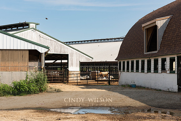 Beriah Lewis Farm, North Stonington