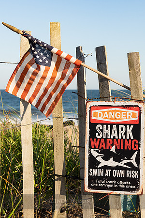 Shark Warning, Charlestown