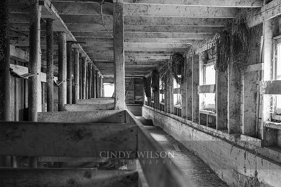 Barn Interior, Sea View, PEI