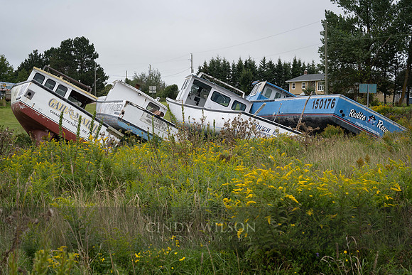 Boats in a Row, PEI
