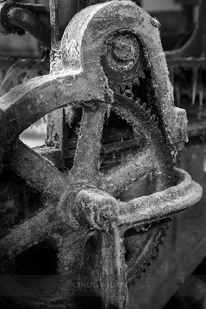 Dusty Gear
