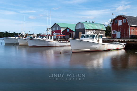 Malpeque Harbor