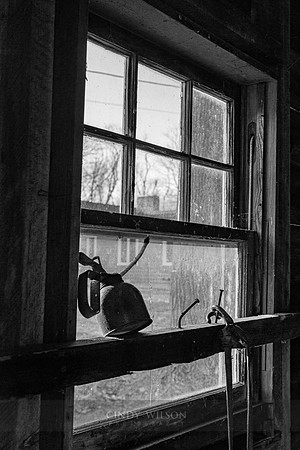 Remnants on a Window Sill
