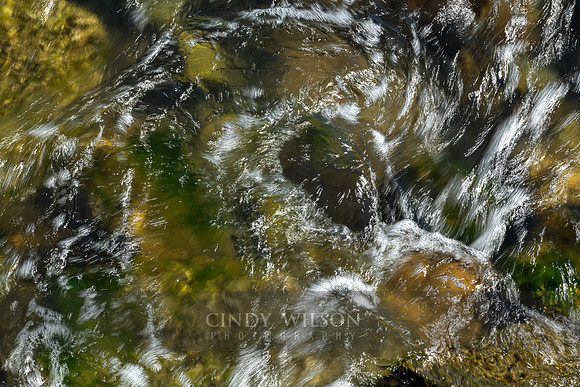 Narragansett Swirls 2115