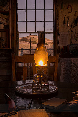 By the Lantern's Glow
