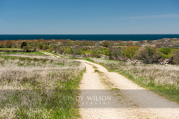 Long Road, Block Island