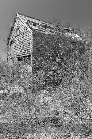 Textured Barn, Block Island