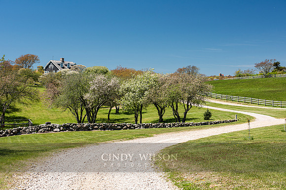 Winding Road, Beacon Hill, Block Island