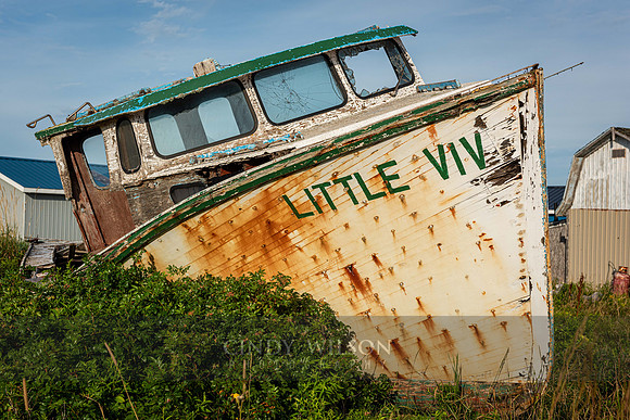 Morning, Little Viv, North Lake, PEI