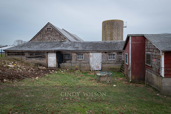 Barnyard, Whaley Farm