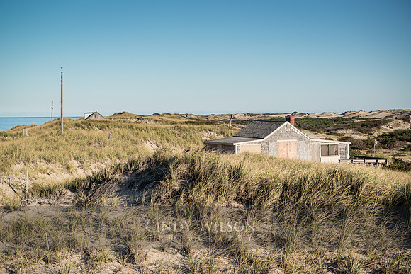 Nestled in the Dunes, Cape Cod National Seashore