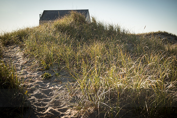 Peaking, Cape Cod National Seashore
