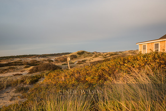 Eyes on the Morning, Cape Cod National Seashore
