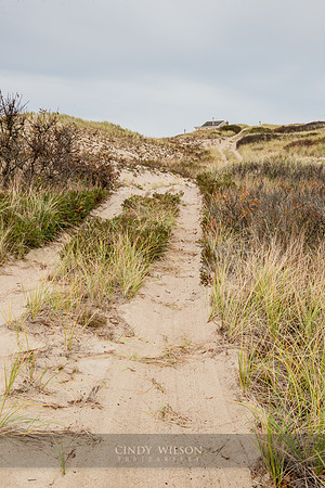 Approach to the Dune Shack, Cape Cod National Seashore