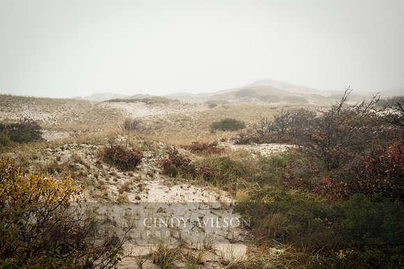 Fog Shrouded Dunes, Cape Cod National Seashore