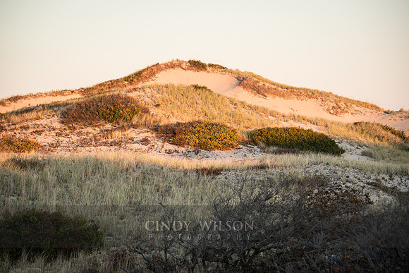 Dune Peak, Cape Cod National Seashore