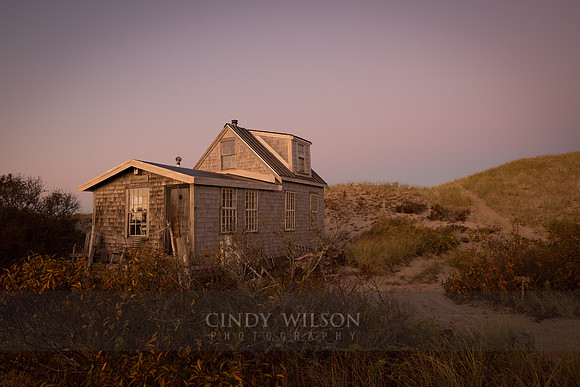 C-Scape at Dawn, Cape Cod National Seashore