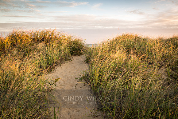 The Sea Beyond, Cape Cod National Seashore