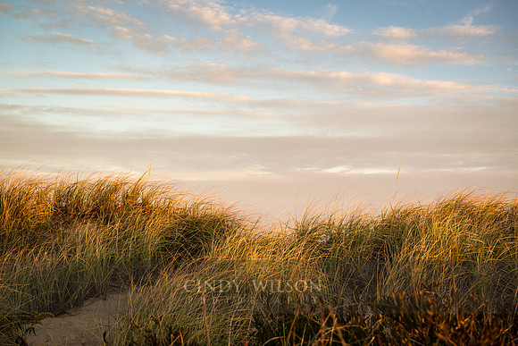 Evening Glow, Cape Cod National Seashore