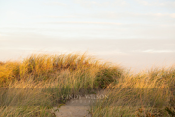 Path over the Dune, Cape Cod National Seashore