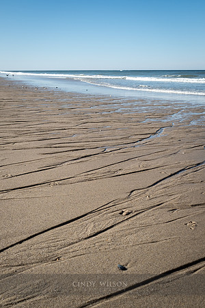 Beachwalk_101, Cape Cod National Seashore