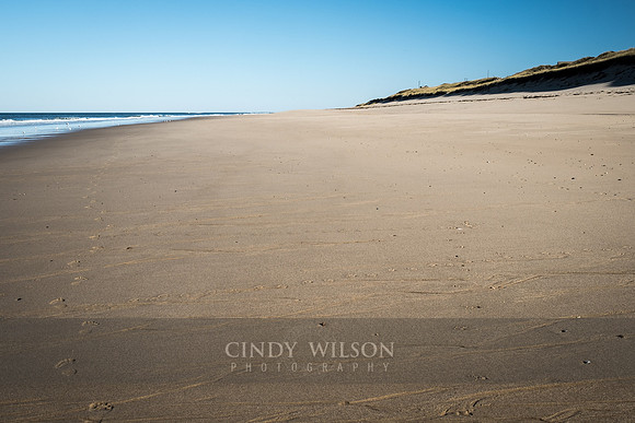 Beachwalk_102, Cape Cod National Seashore