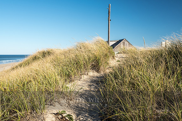 Pathway to the Shack, Cape Cod National Seashore
