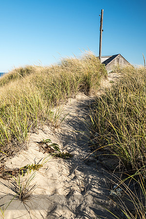 Pathway to the Shack, Cape Cod National Seashore