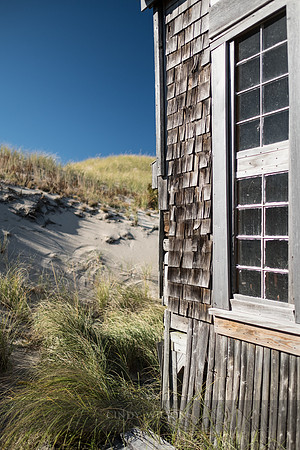 Window on the Dune, Cape Cod National Seashore