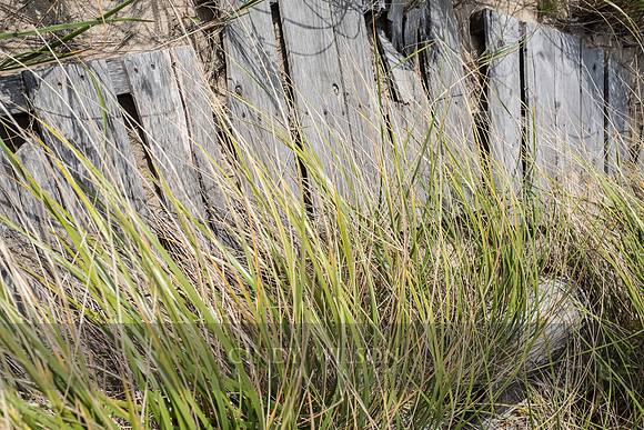 Wooden Walkway, Cape Cod National Seashore